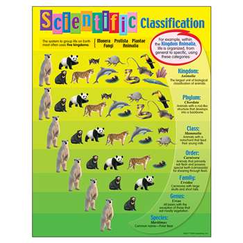 Scientific Classification Learning Chart - Play School Room CC