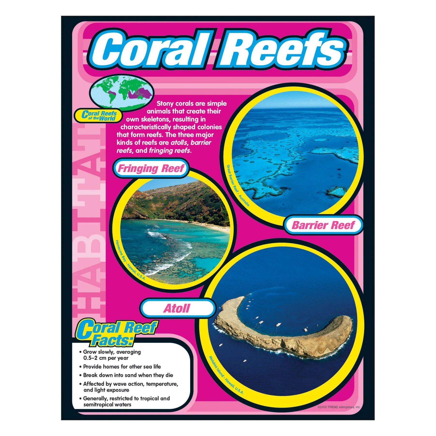 coral-reefs-learning-chart-play-school-room-cc