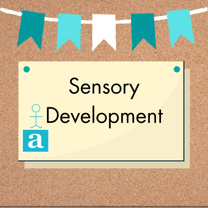 Sensory Development