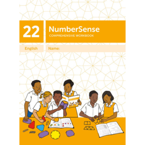 NumberSense Comprehensive Workbook 22