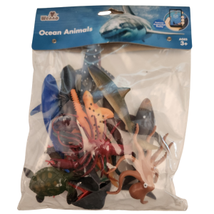 Ocean Animals