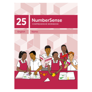 NumberSense Comprehensive Workbook 25