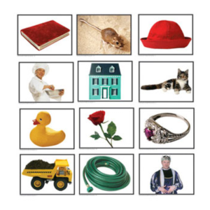 Rhyming Pairs Photographic Learning Cards