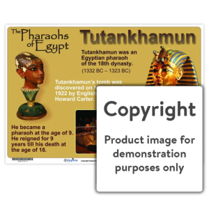 The Pharoahs of Egypt: Tutankhamun
